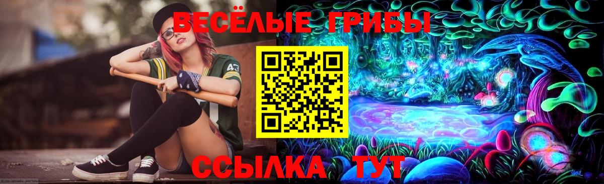 Пенза  Галлюциногенные грибы ЛСД  Псилоцибиновые грибы Psilocybe  Вход с VPN 